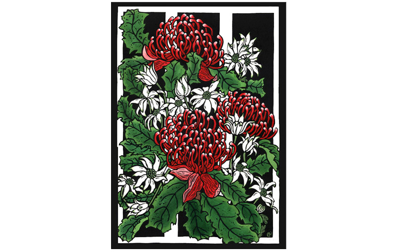 Waratahs-&-Flannel-Flowers-ARCHIVE-LINOCUT-AUSTRALIAN-LYNETTE-WEIR